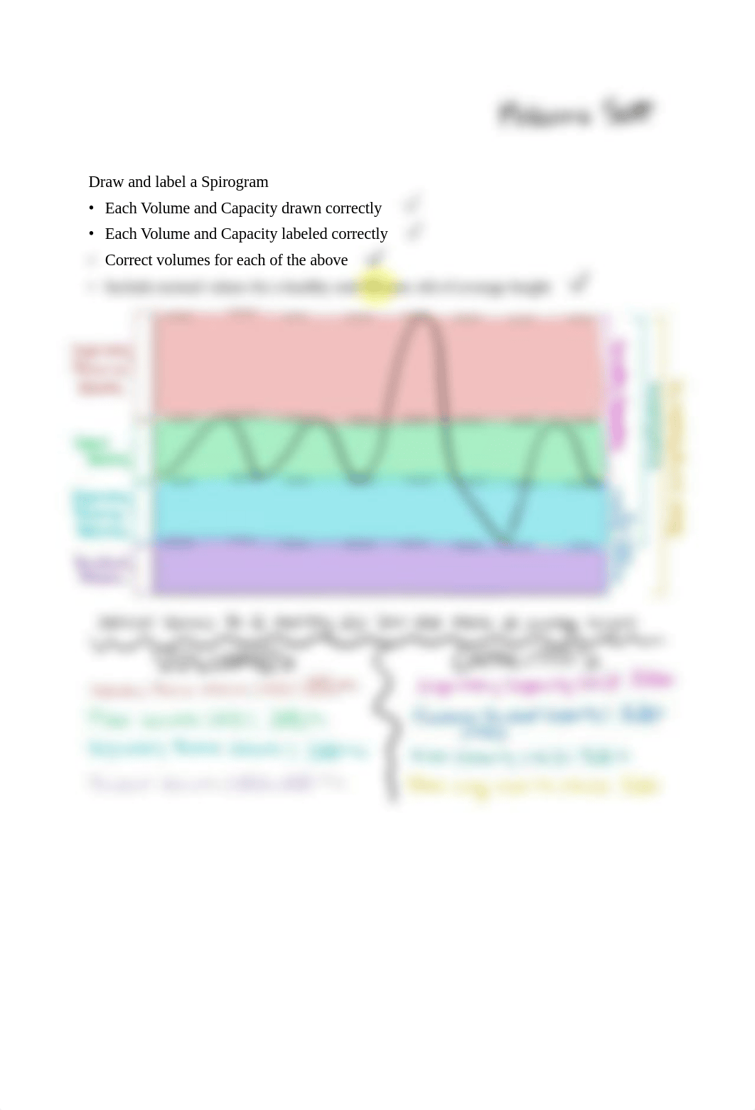 Draw_and_Label_Spirogram_HW.pdf_dwrrb9wwkji_page1