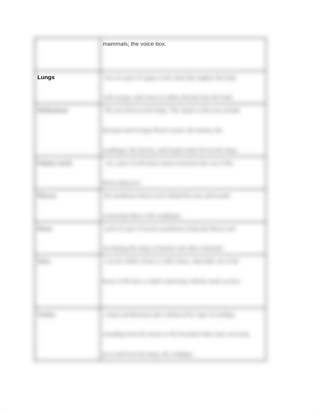 3.01_Respiratory_System_Key_Terms_Review__.docx_dwrymnkoxqu_page2