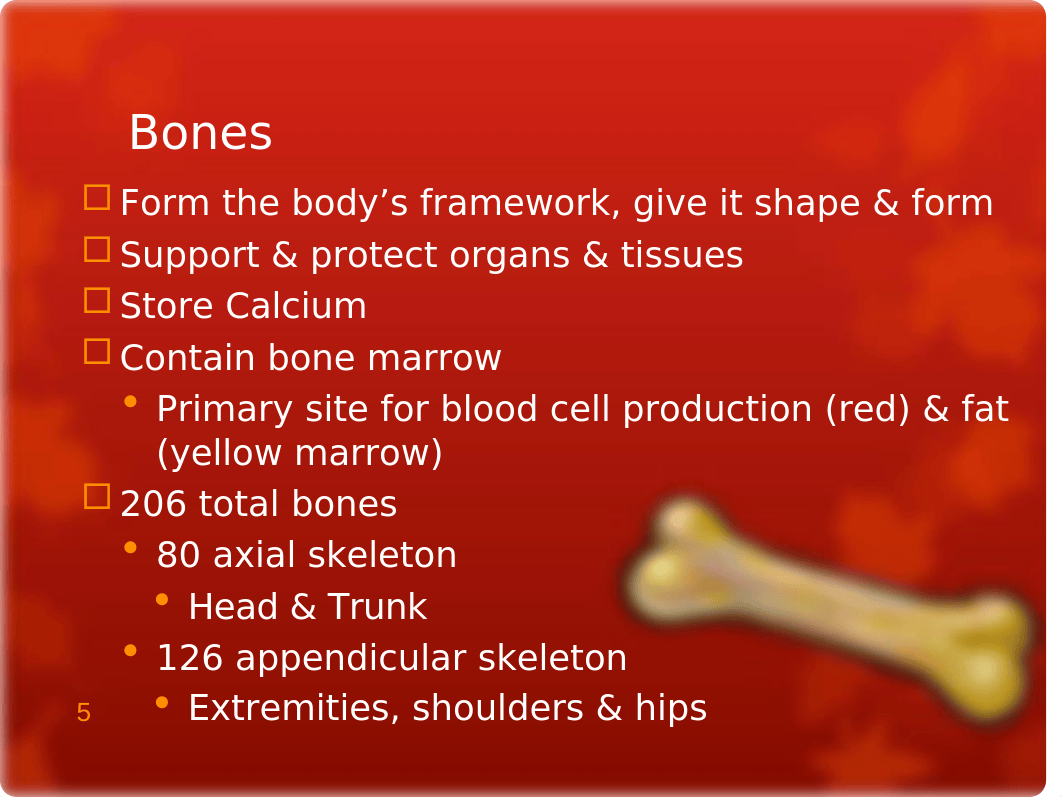 Musculoskeletal System, 2019, Student.ppt_dws6nogyixb_page5