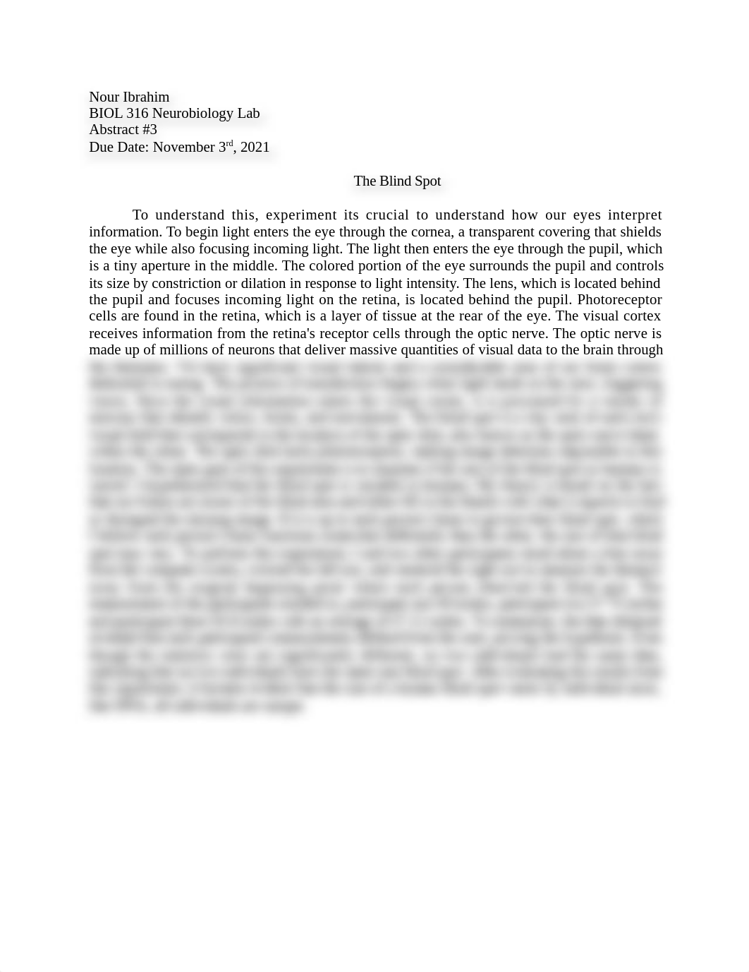 Abstract #3 - The Blind Spot .docx_dws8lomuymb_page1