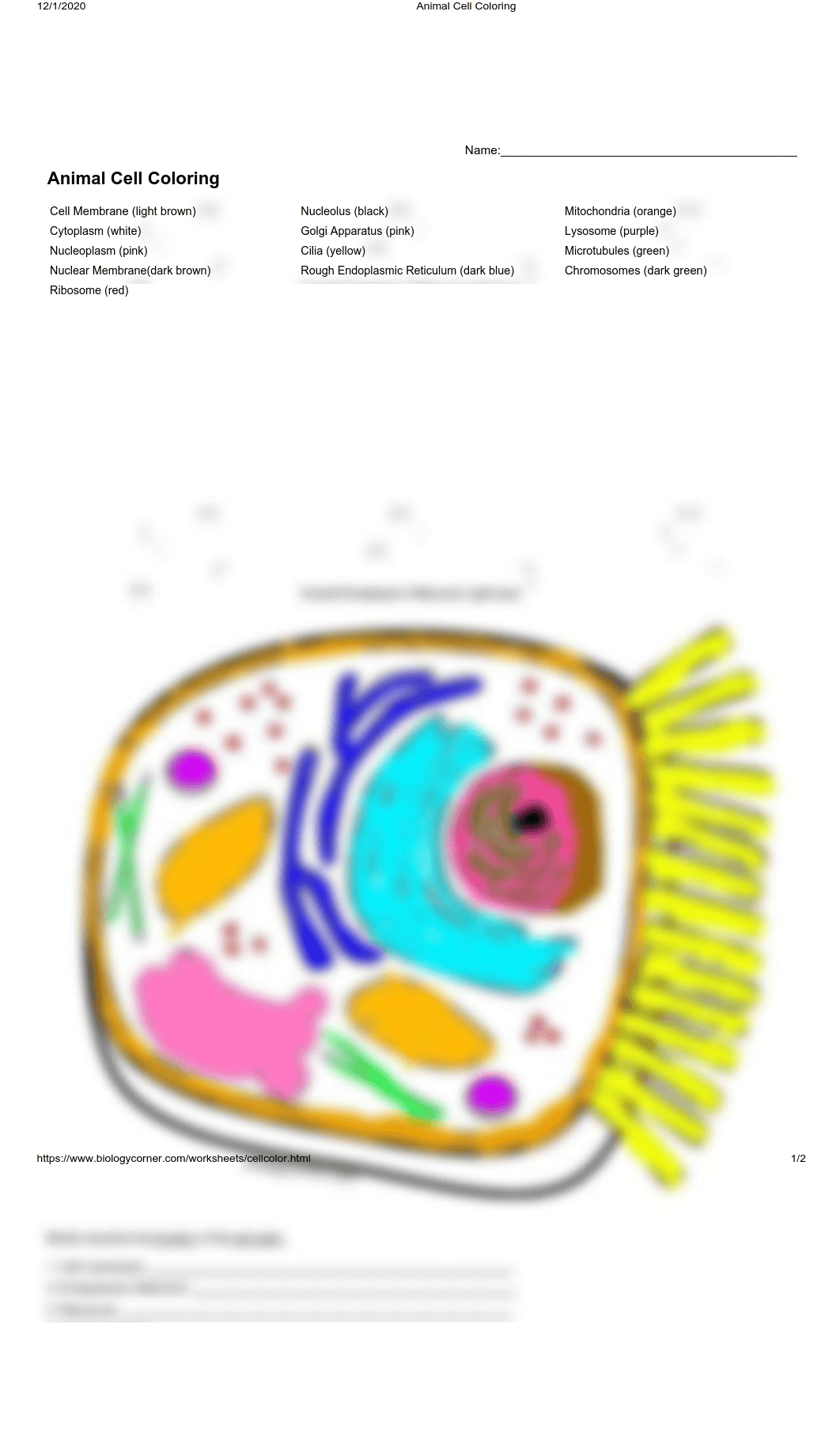 Kami_Export_-_LEROY_BELLARD_-_Bio_Animal_Cell_Coloring_(1).pdf_dwsbv321sbn_page1