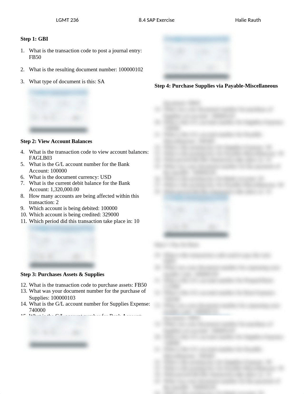 halie rauth m8.4 sap exercise.docx_dwsr2204tjs_page1