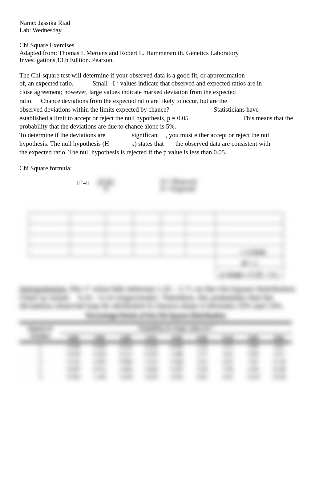 Chi Square Exercise_Riad.docx_dwssbt27zfz_page1