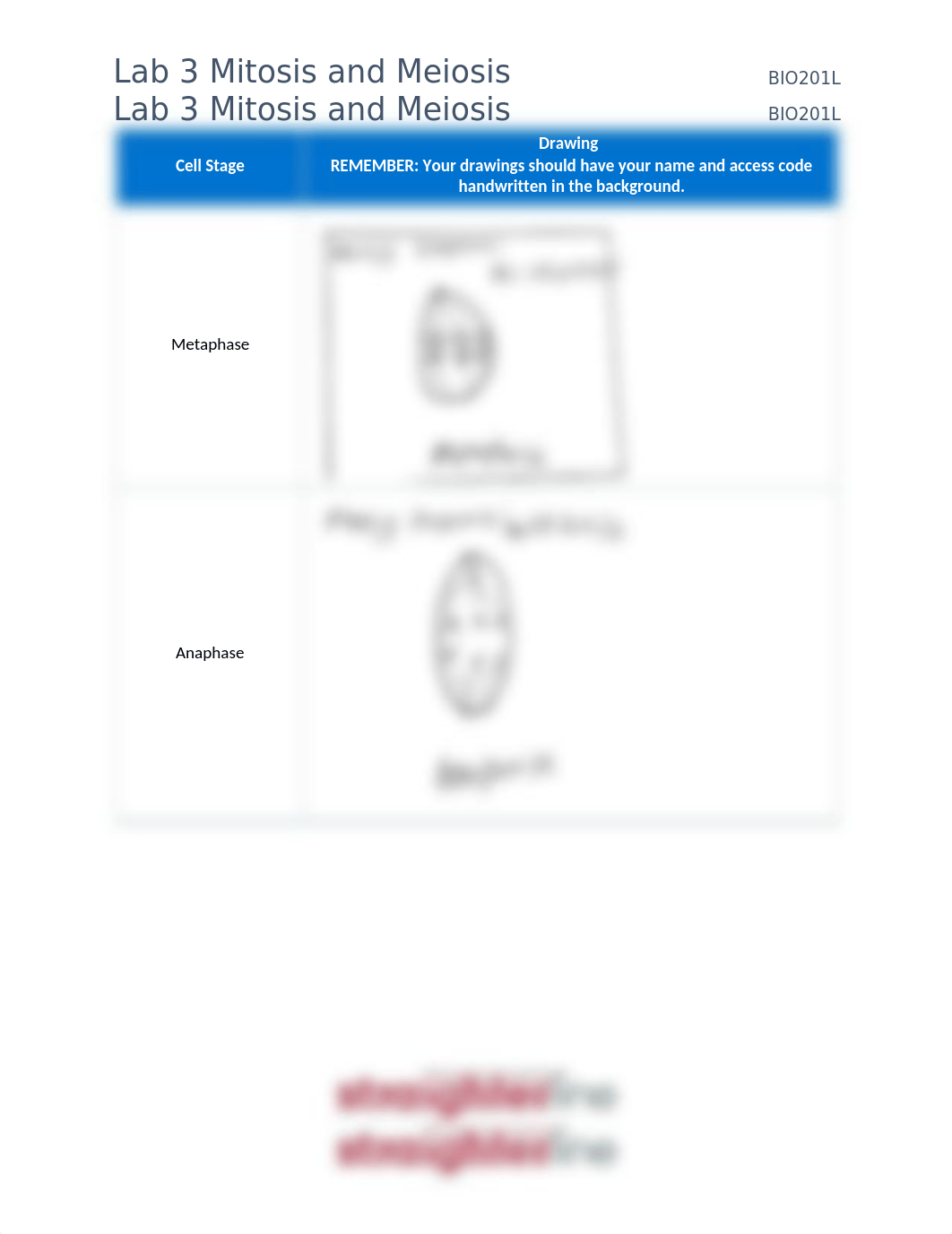 BIO201L+Lab+3+Mitosis.docx_dwsu3syi29k_page4