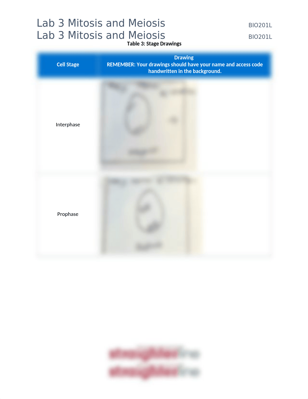 BIO201L+Lab+3+Mitosis.docx_dwsu3syi29k_page3