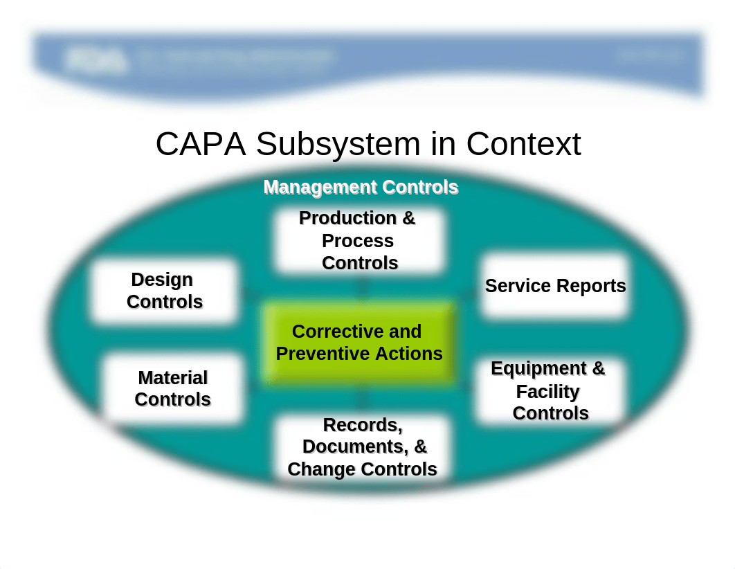 CAPA background and examples.pdf_dwsvgs30k3w_page4