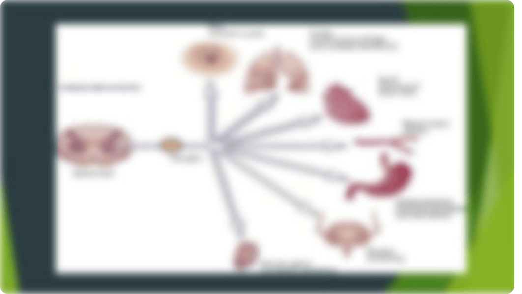 Cholinergic Agonists and Antagonists.pptx_dwswg3pfks6_page4