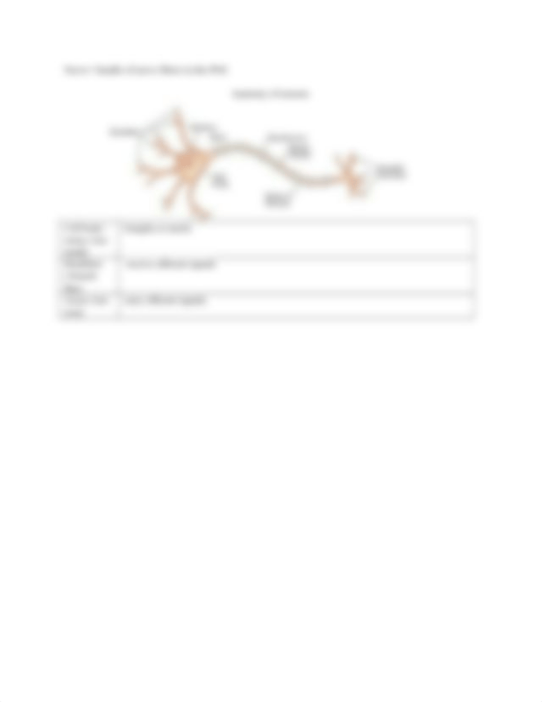 Chapter 60 Assessment of Neurologic Function.docx_dwt5n8mspx8_page2