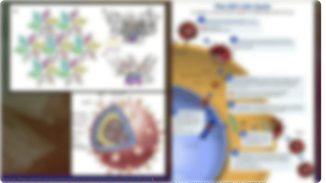 History of HIV.pptx_dwteac23p4q_page3