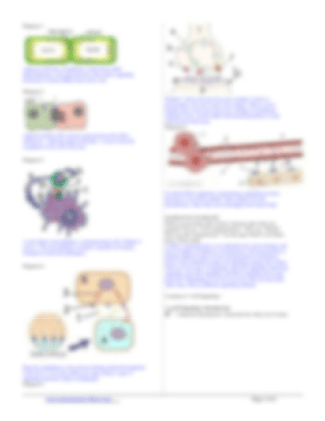 cell signaling slg.pdf_dwtjd8zw1f9_page2