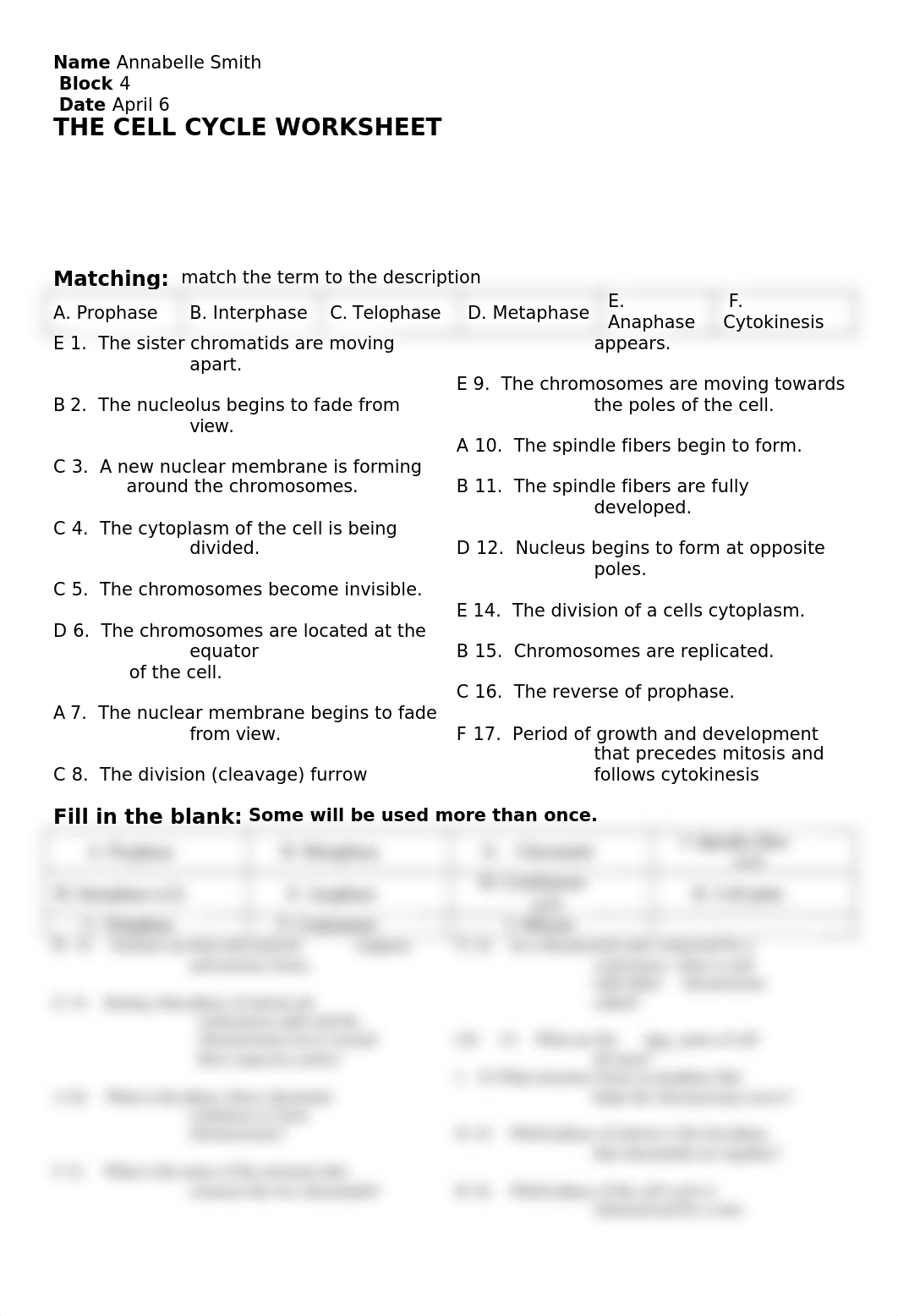 The Cell Cycle Worksheet (1).docx_dwtppz3b335_page1