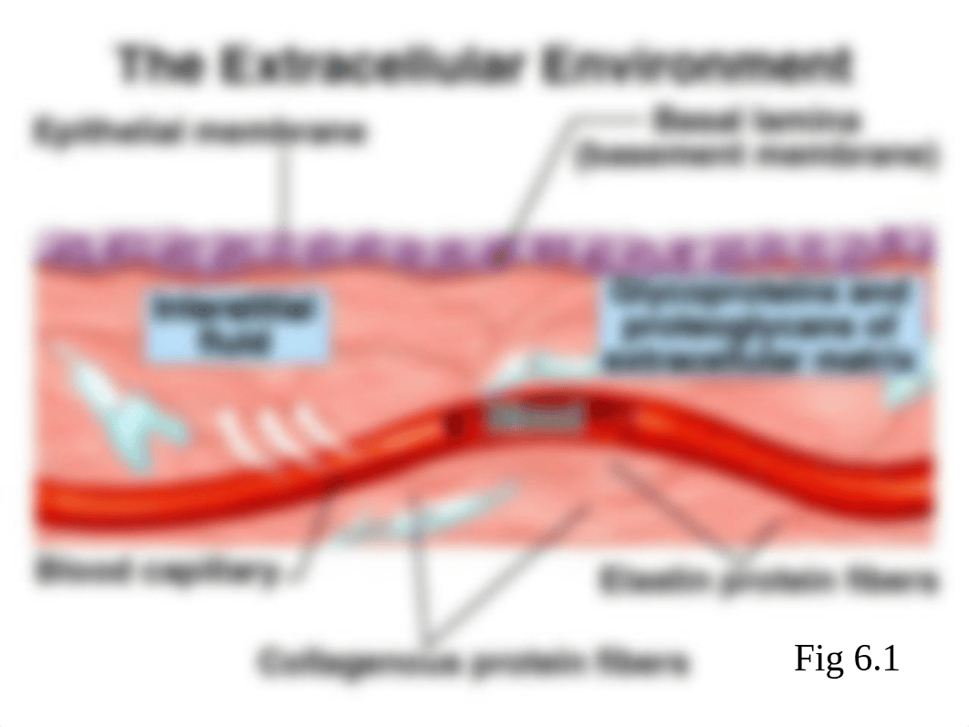 3_CH6_diffusion (7)_dwtundbx9km_page3