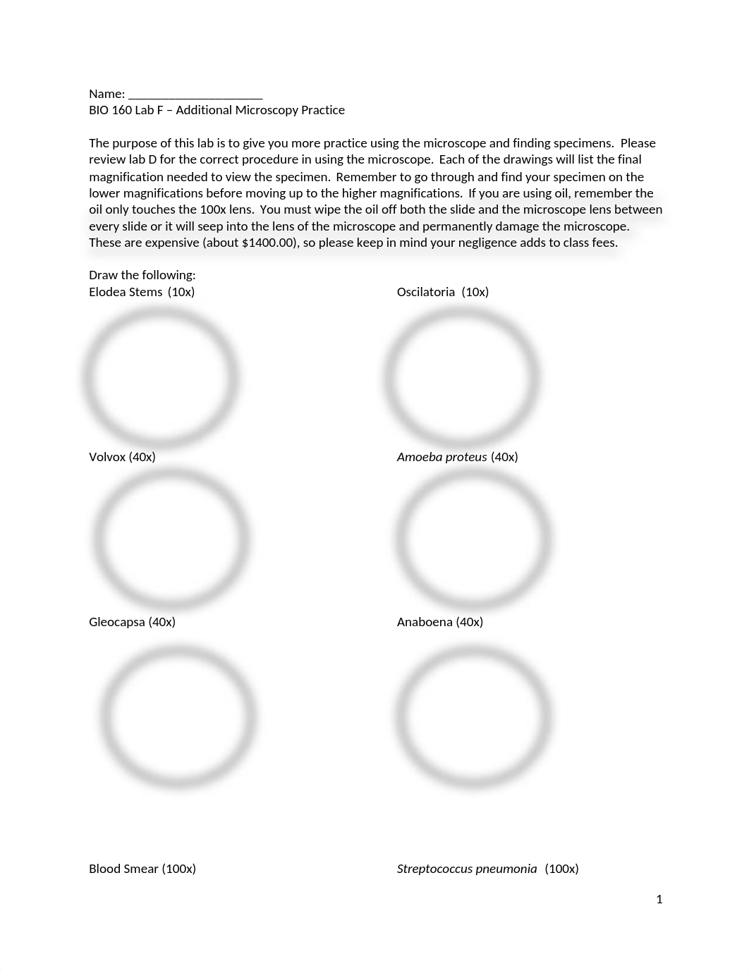 BIO160 Lab F practice microscopy-1_dwu0394db7l_page1