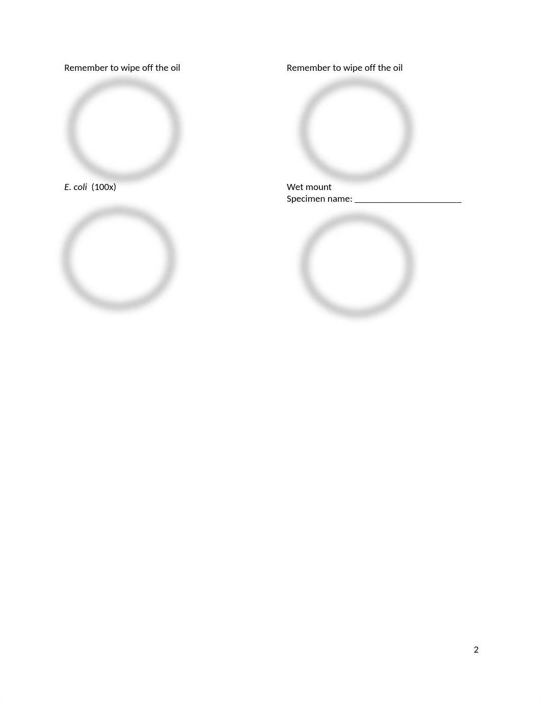 BIO160 Lab F practice microscopy-1_dwu0394db7l_page2