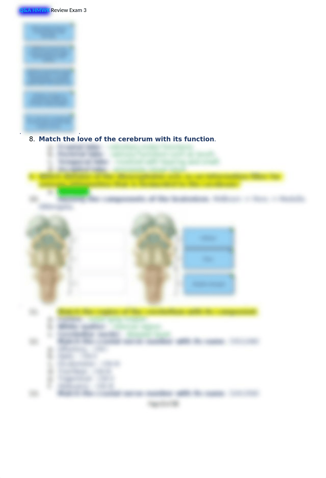 EXAM 3 Q&A HMWK study.docx_dwu0oeeef32_page2