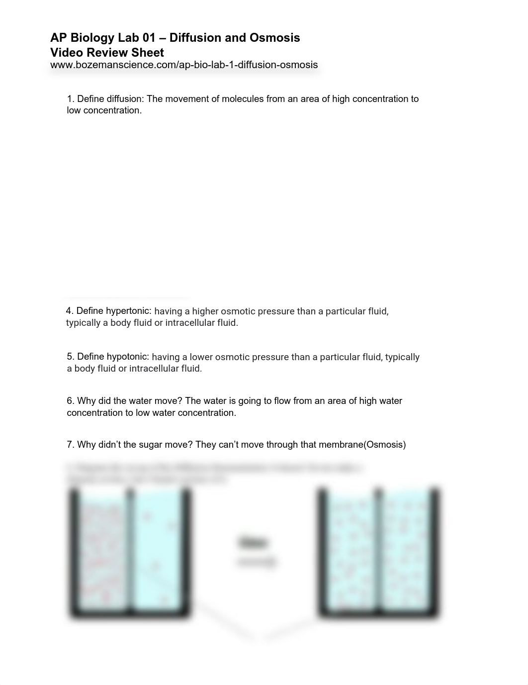 AP+Bio+Lab-01+Diffusion+and+Osmosis+Worksheet-WL.pdf_dwunqplxcq6_page1