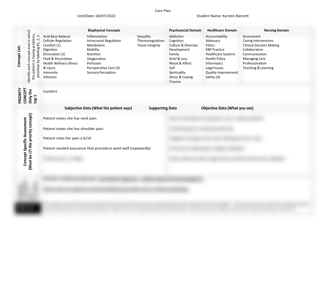 AH1_CarePlan(6)(5)(4)(3).pdf_dwuy7ljqwyz_page1