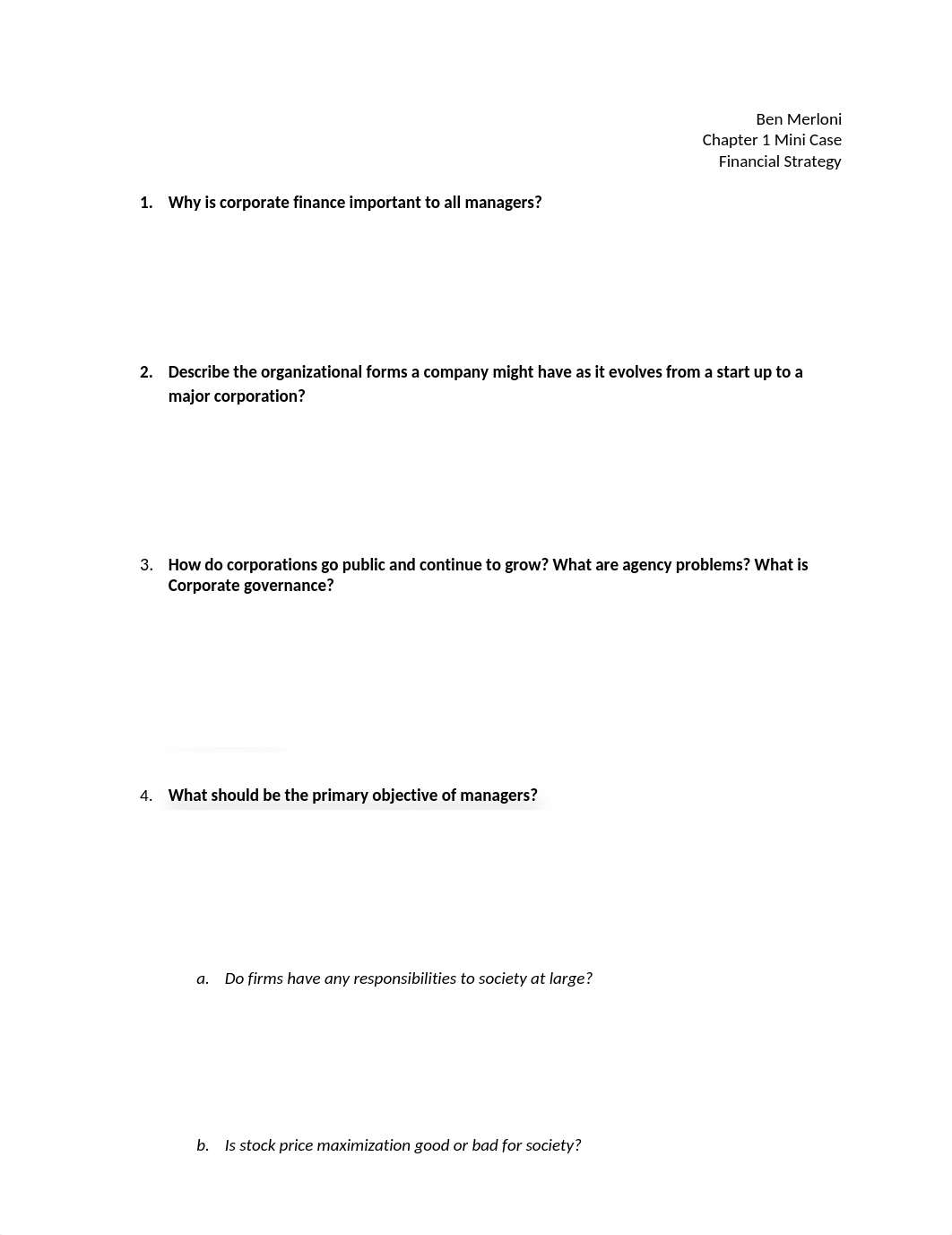 Fin Strategy_Mini Case Ch1_Merloni_dwv20hxq6rd_page1