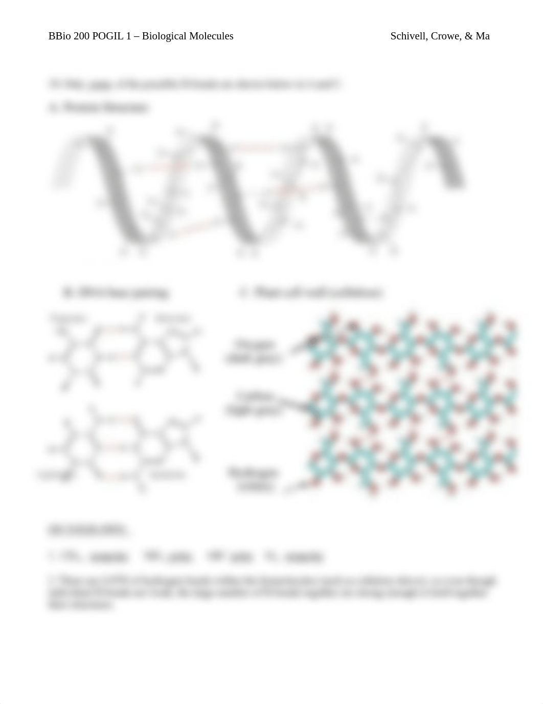 POGIL1_BiolMolecules_StudentKey_dwv649zsqg2_page2