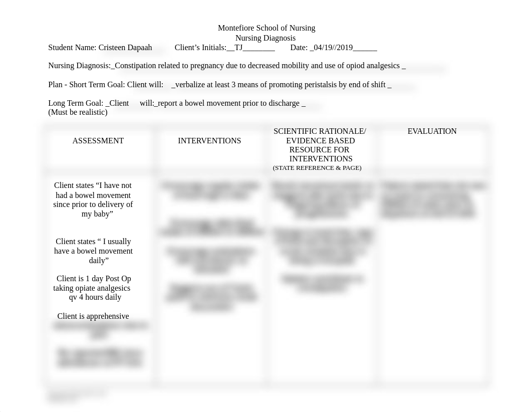 Nursing Care Plan Blank Maternity 1.doc_dwv7wikqi08_page1