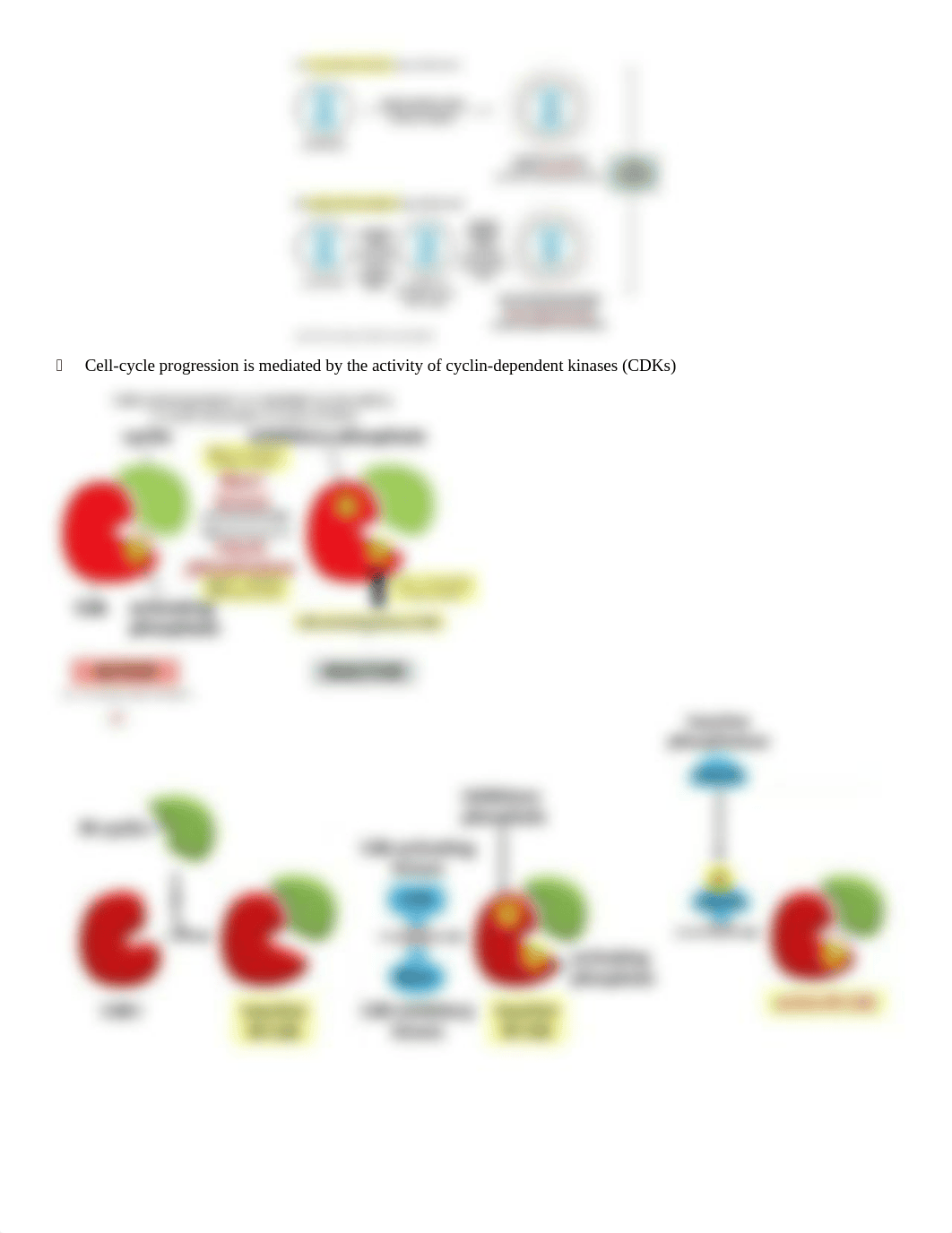 Molecular Exam 2 (1).docx_dwvjg0c4sze_page2