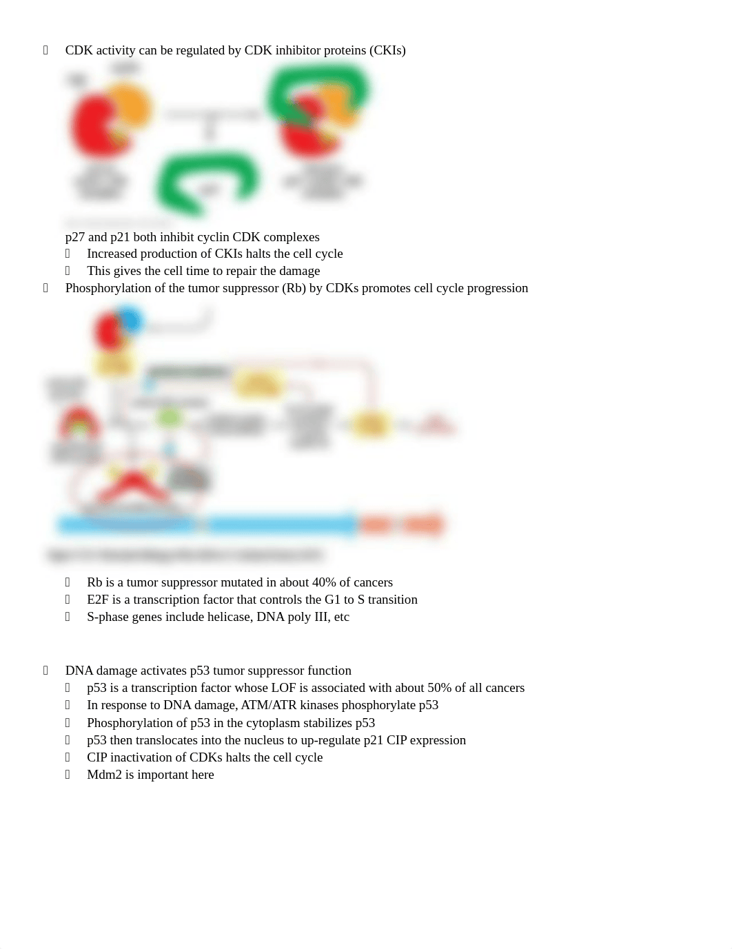 Molecular Exam 2 (1).docx_dwvjg0c4sze_page3