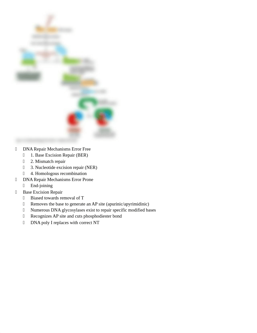 Molecular Exam 2 (1).docx_dwvjg0c4sze_page4