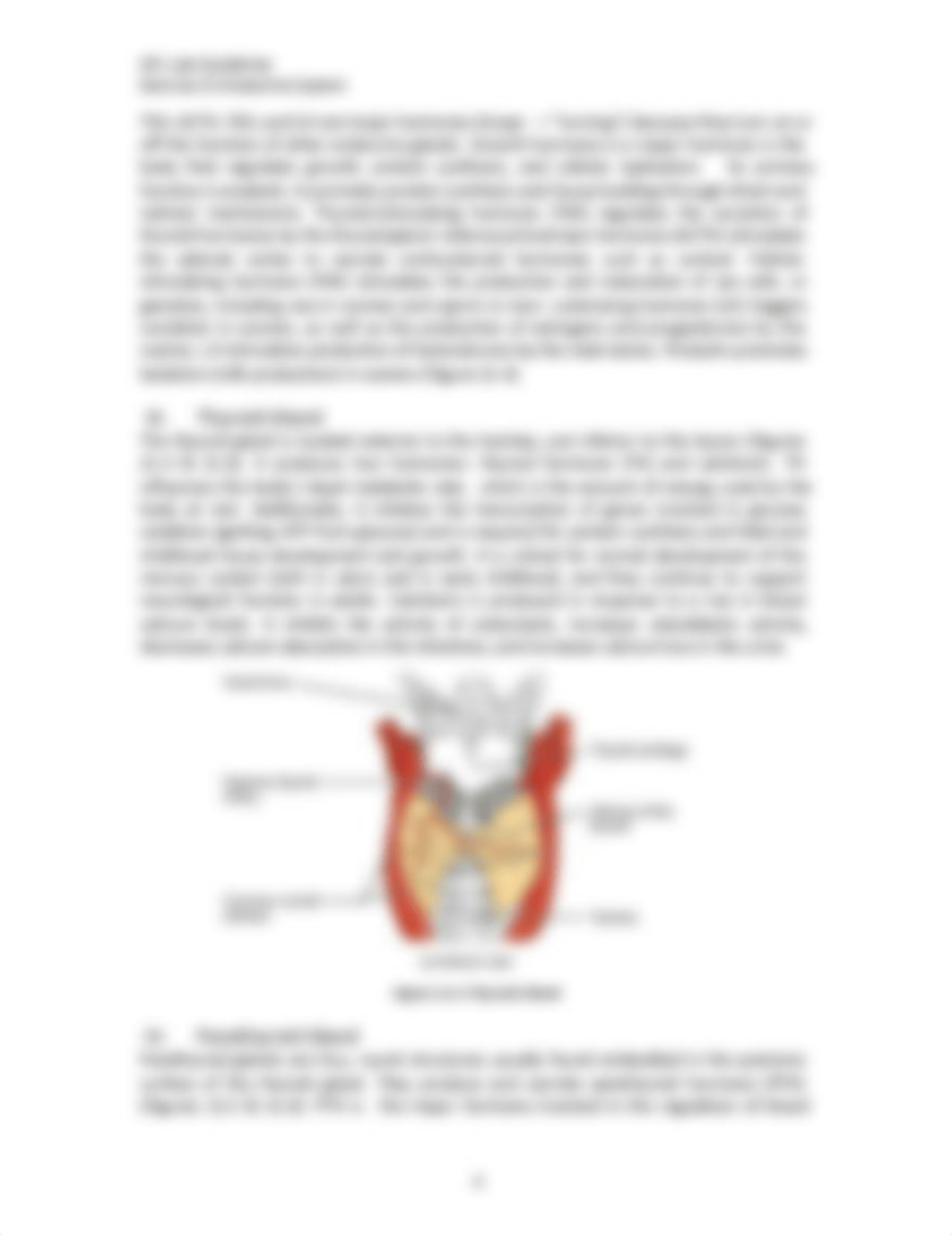 Exercise 21-Endocrine System.pdf_dwvrcvcrj9u_page4