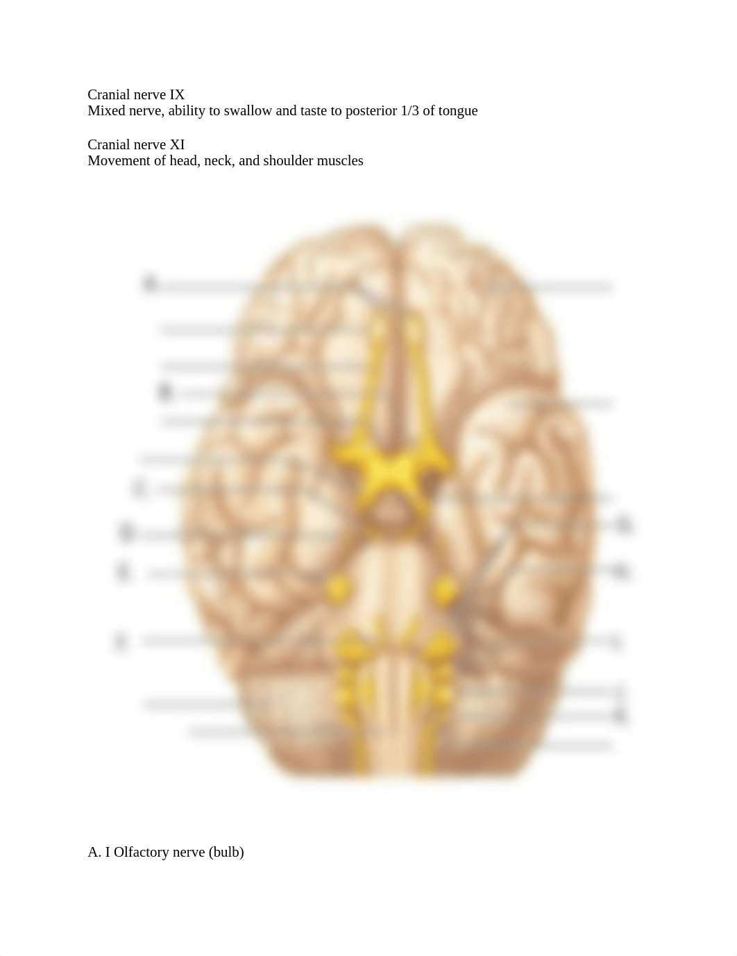 Exam 5 A&P.docx_dwvstrzatxi_page4