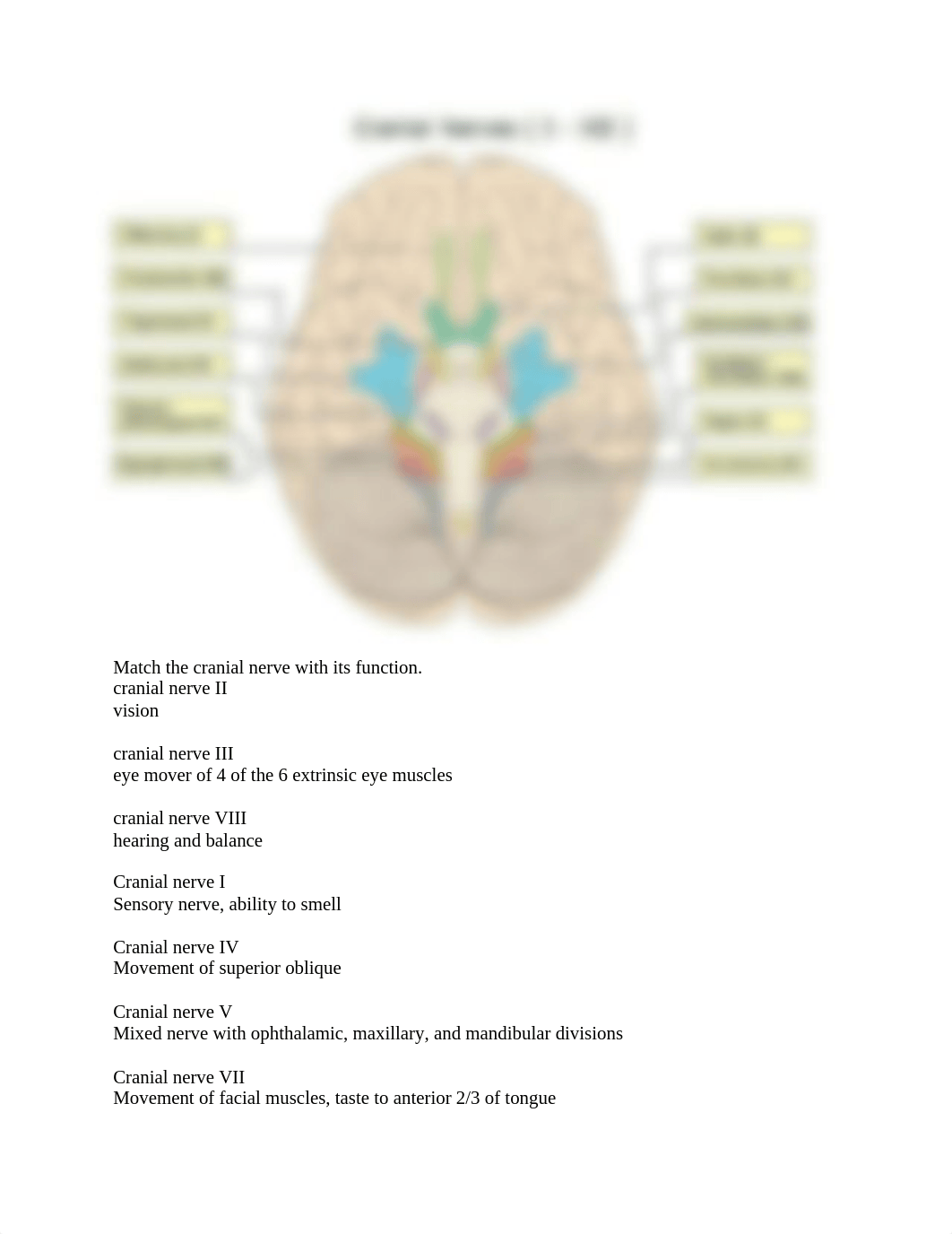 Exam 5 A&P.docx_dwvstrzatxi_page3