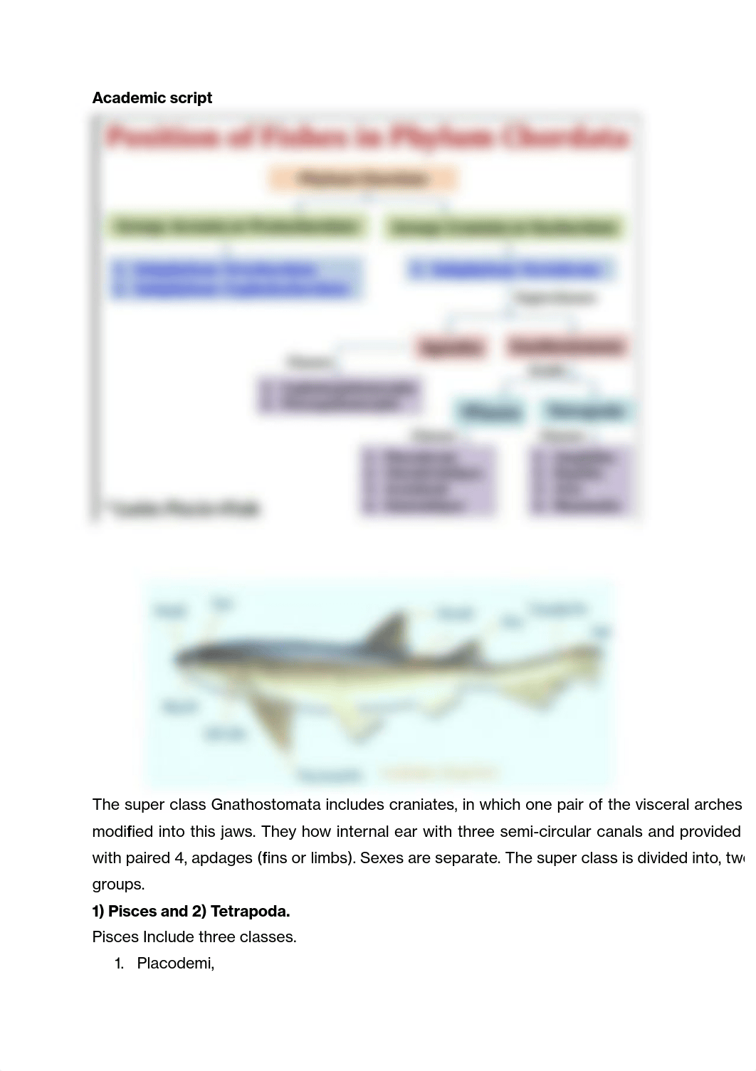 3.4. Classification of Pisces.pdf_dwvt92l6iui_page2