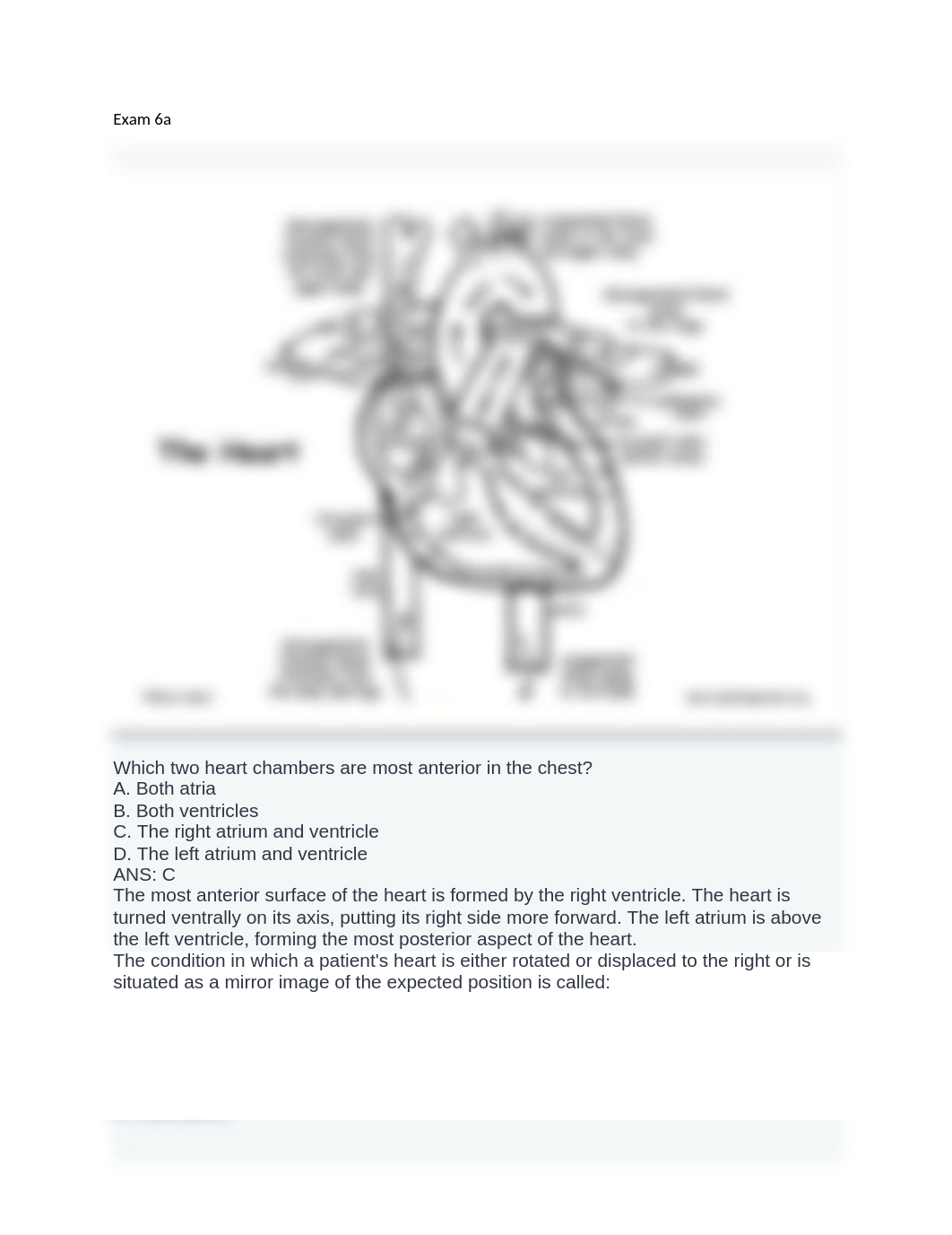 exam 6a.docx_dww4s4ae5sp_page1