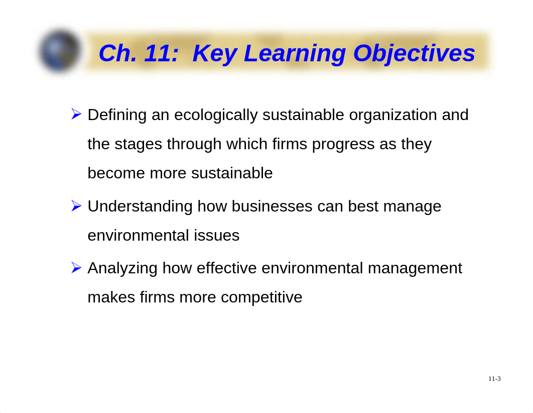 MGT353 - Chapter 11_dwwb86imodx_page3