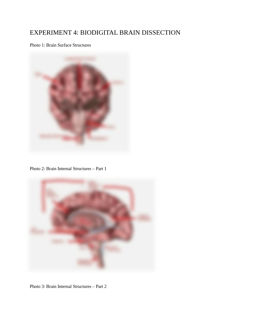 Lab 8 Exp 4.pdf_dwwcv3qj1ge_page1