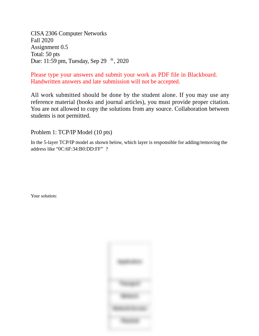 CISA 2306 Assignment 0.5.docx_dwwk6w4rogu_page1