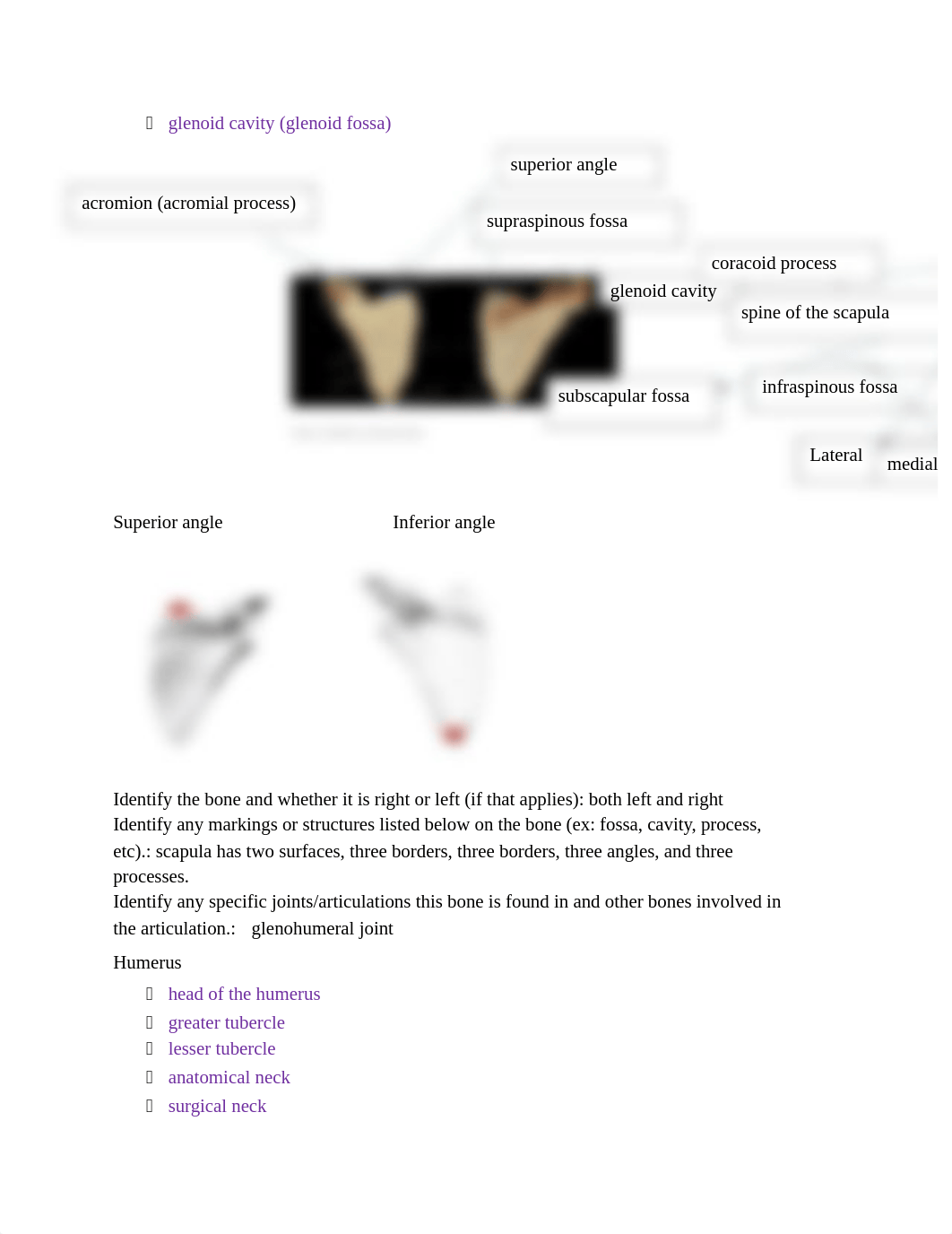 PreLab4.docx_dwwooiwgjyx_page2