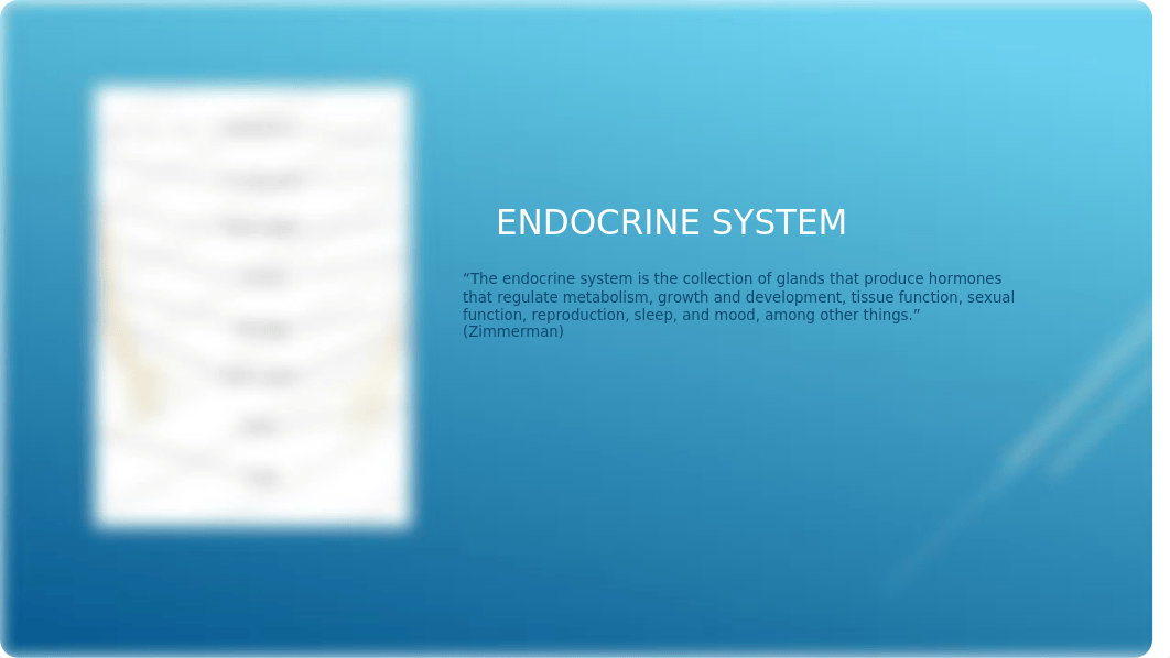 The Endocrine System [Autosaved].pptx_dwwt0rftf34_page2