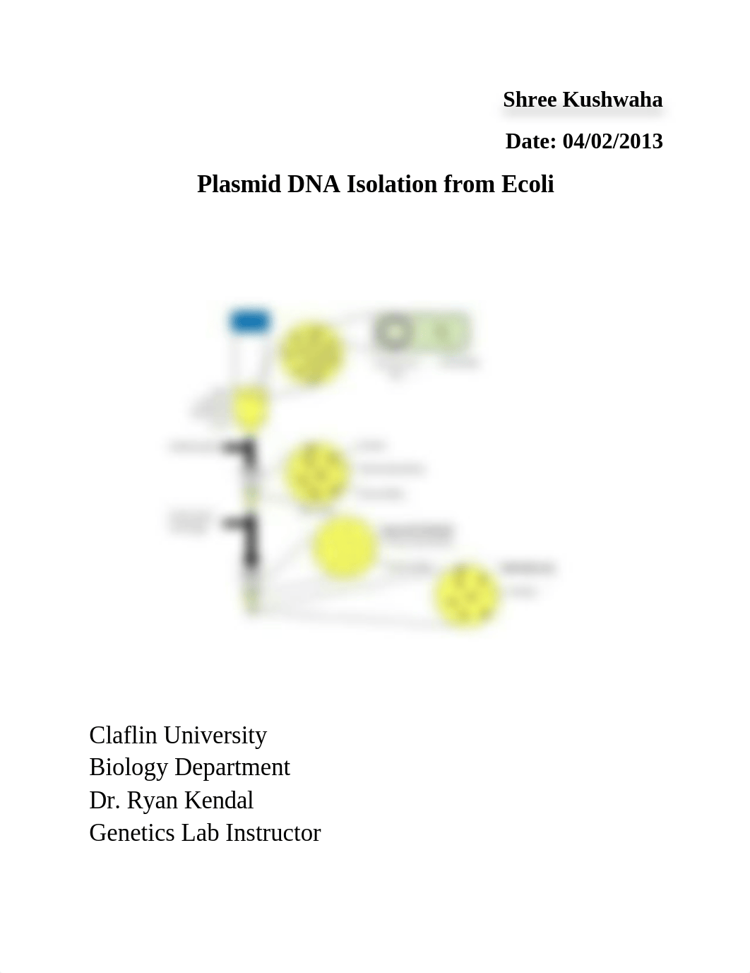 Plasmid DNA Isolation from E.Coli Lab_dwx6infm7ny_page1