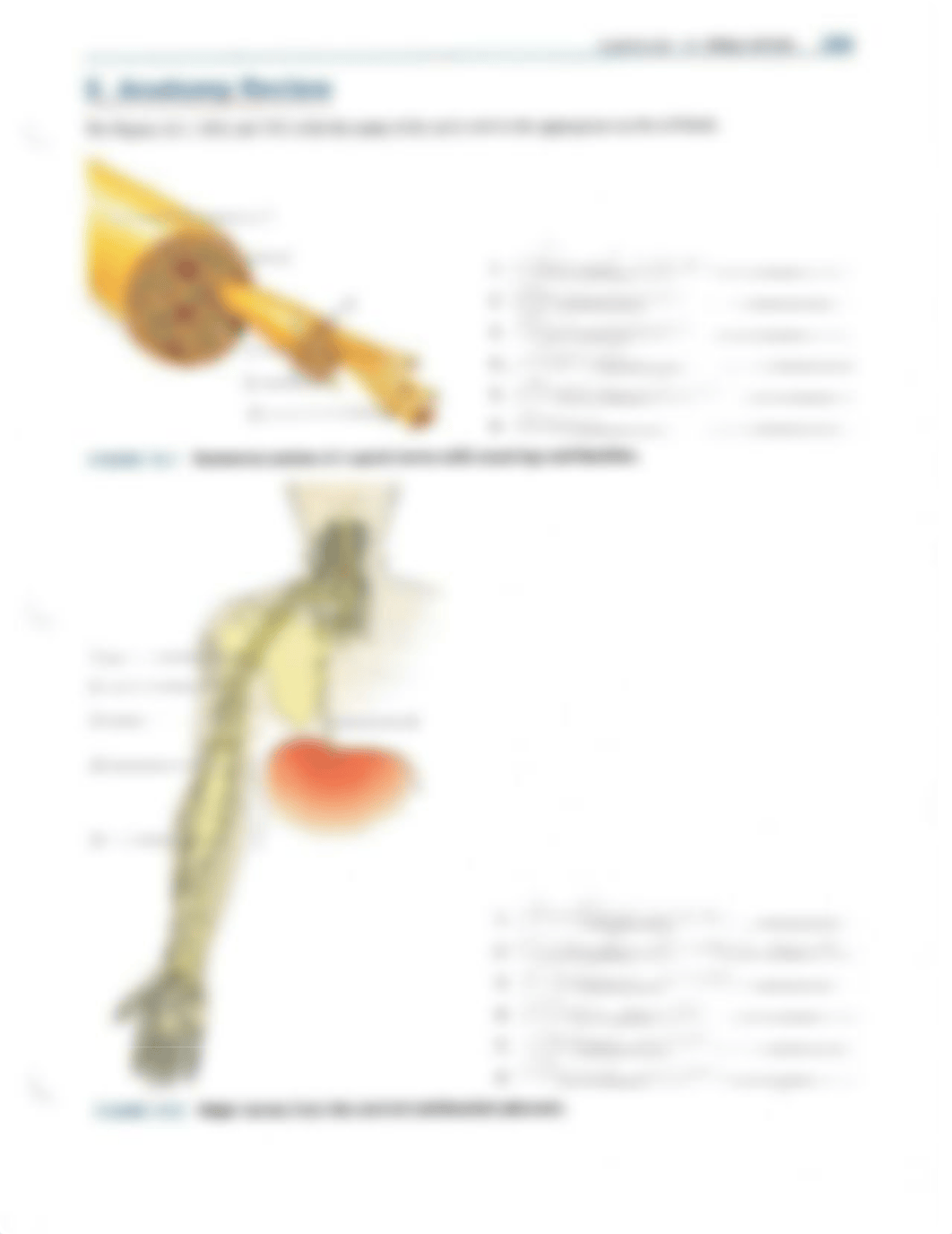 RYK-UYK 18.pdf_dwx7cnyvt1r_page3