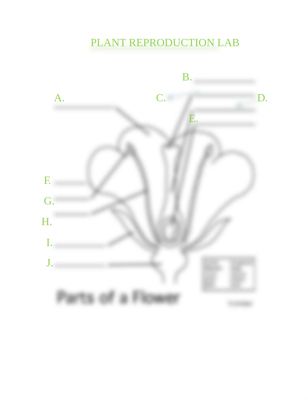 WEEK 5 LAB CJC.docx_dwxcd01yt1y_page1