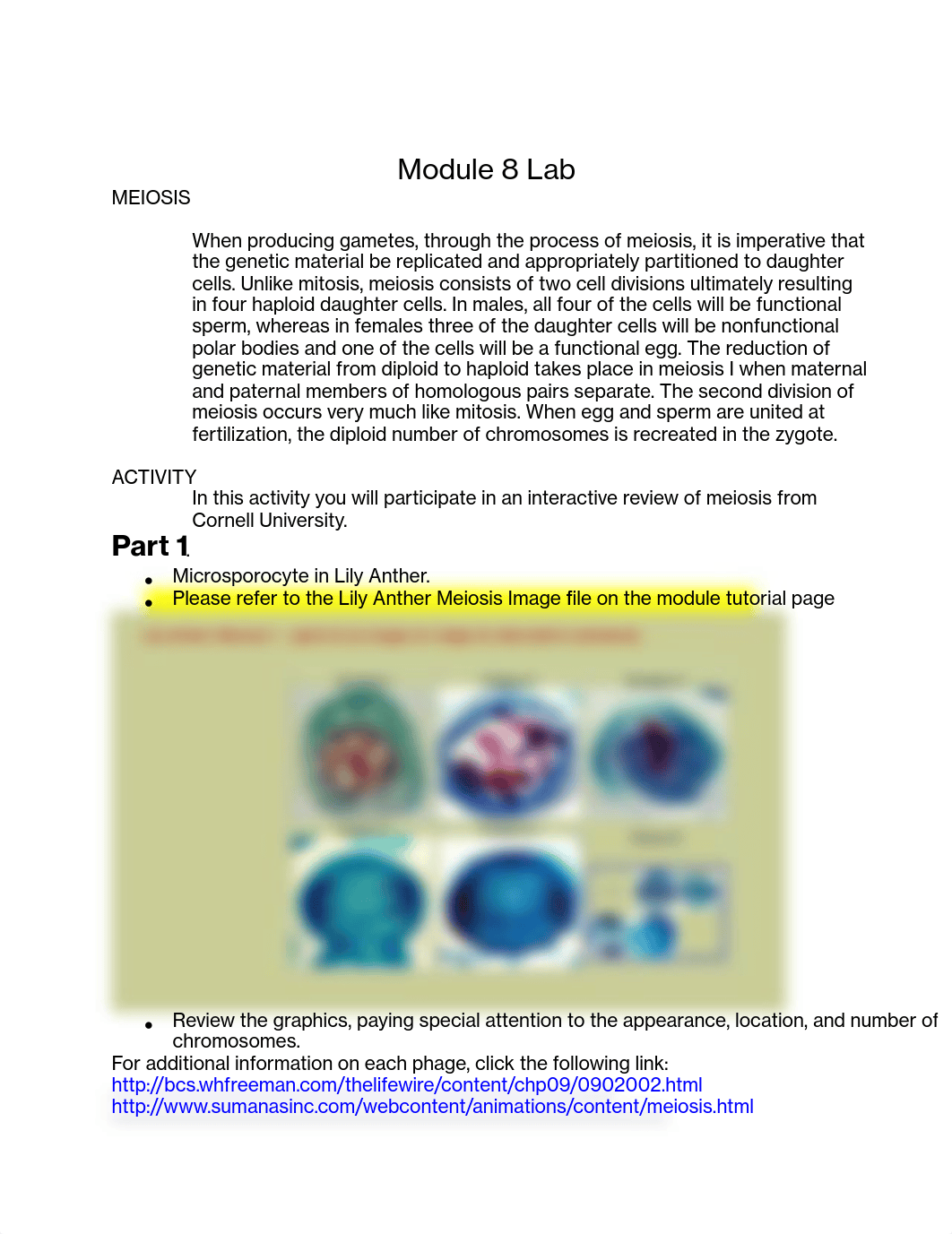 Module 8 Lab.pdf_dwxh4xobao6_page1