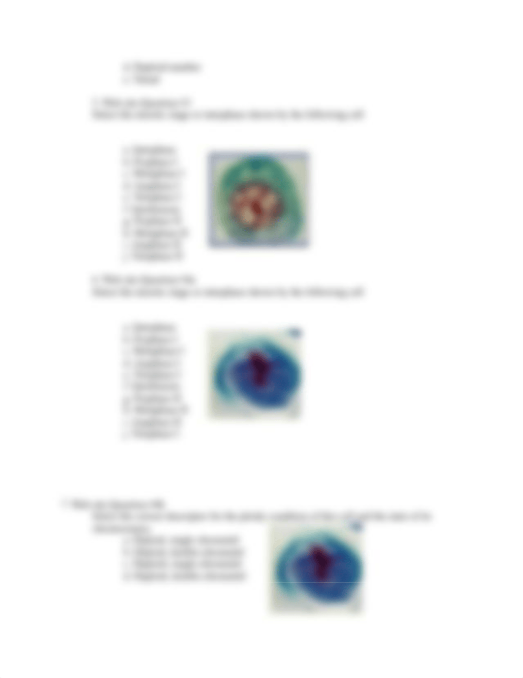 Module 8 Lab.pdf_dwxh4xobao6_page3