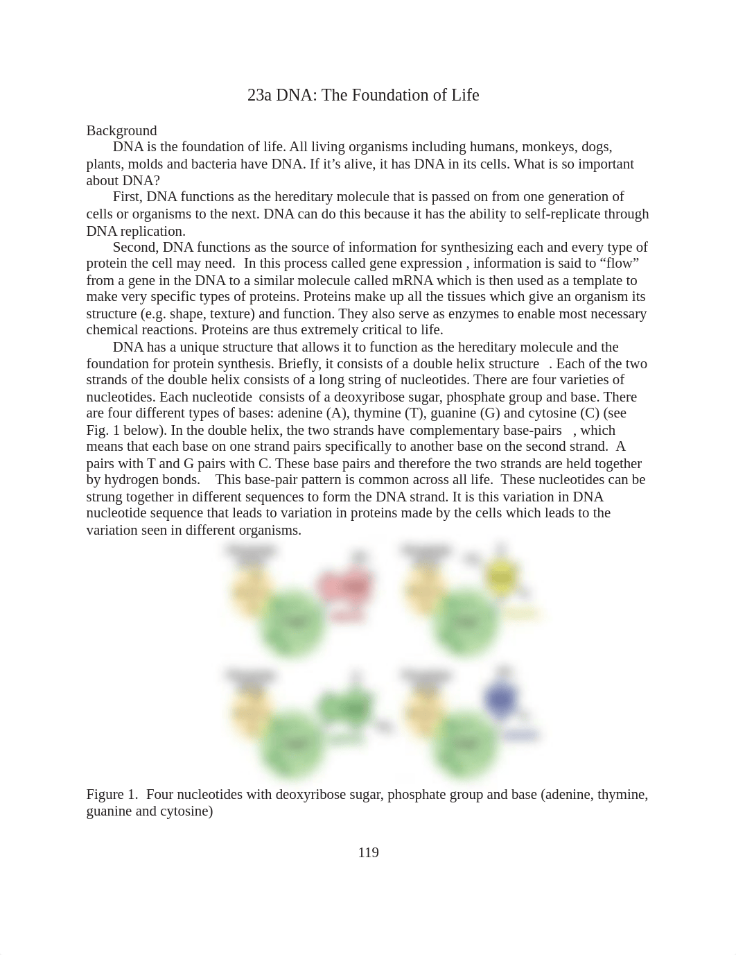 Lab 23a DNA Foundations.pdf_dwxiyohh07u_page1