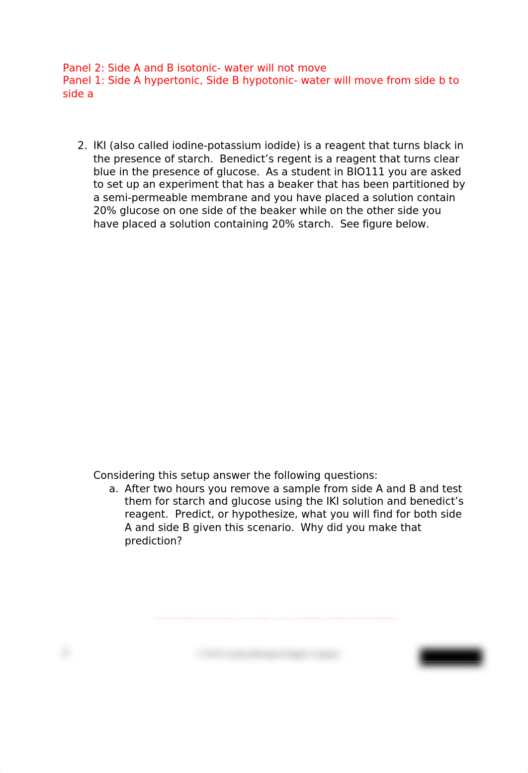 Lab_Report_Eukaryotes_Prokaryotes_and_Viruses (1).docx_dwxj43clc3s_page3