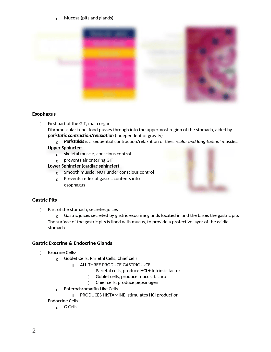 GI Physiology Week 14.docx_dwxmwlrepcu_page2