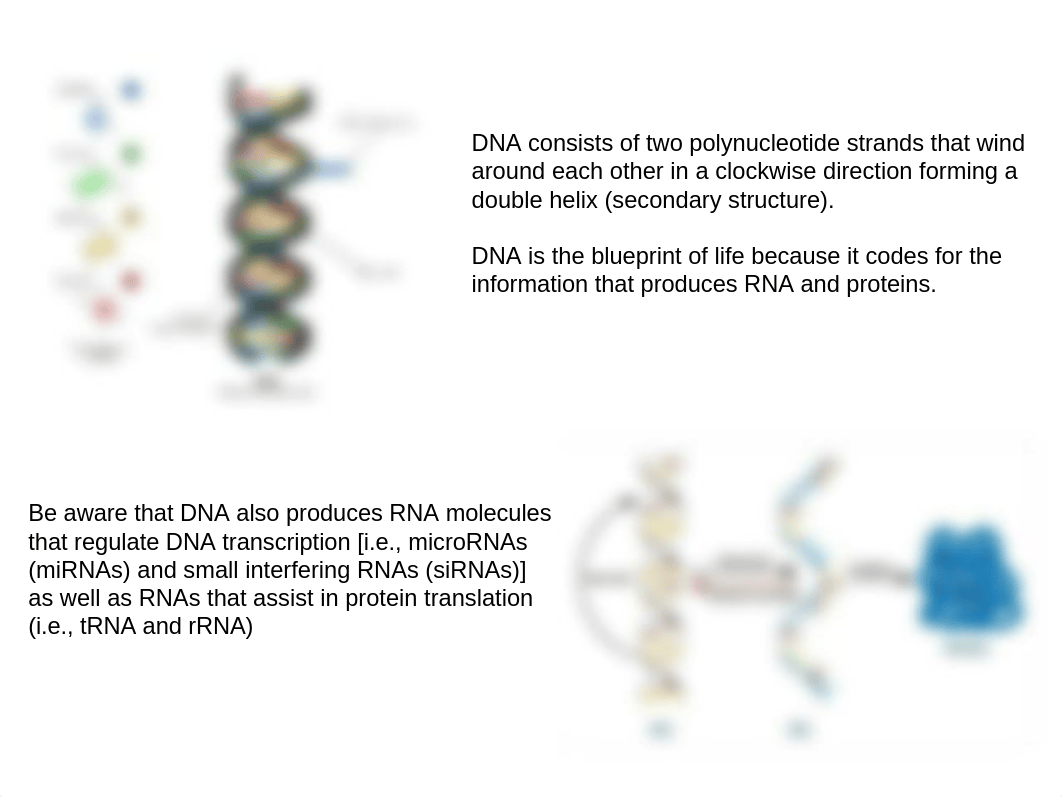 Lecture 2. Genetic Concepts in Pharmacogenomics.ppt_dwybuns6ilp_page3