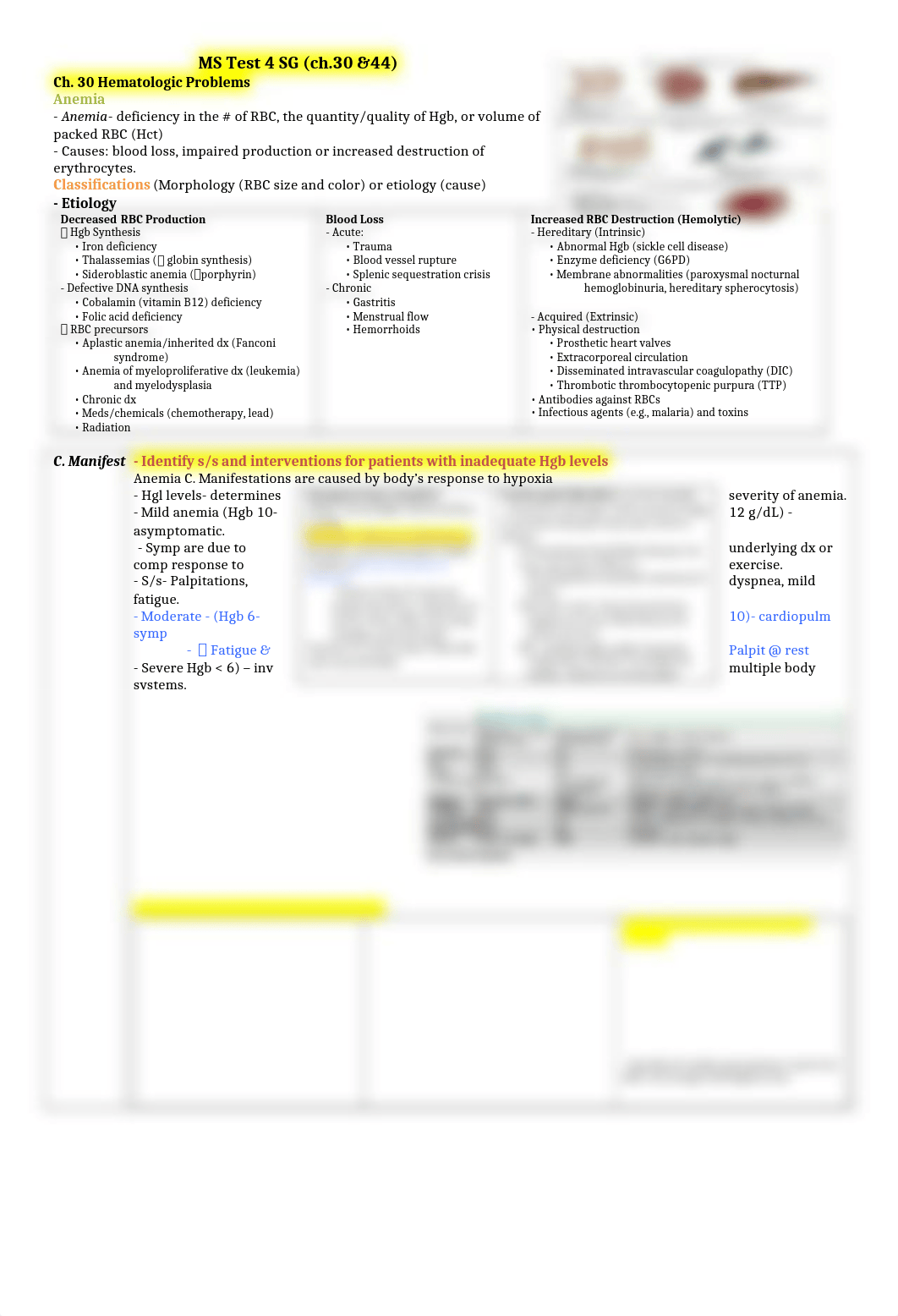 MS Test 4 SG- NEW.docx_dwyi0llwobp_page1