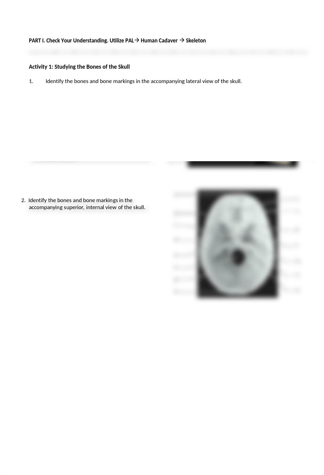 5. Unit 5 laboratory exercise 8, 9, & 10-1 (1).docx_dwyibp8e76q_page3