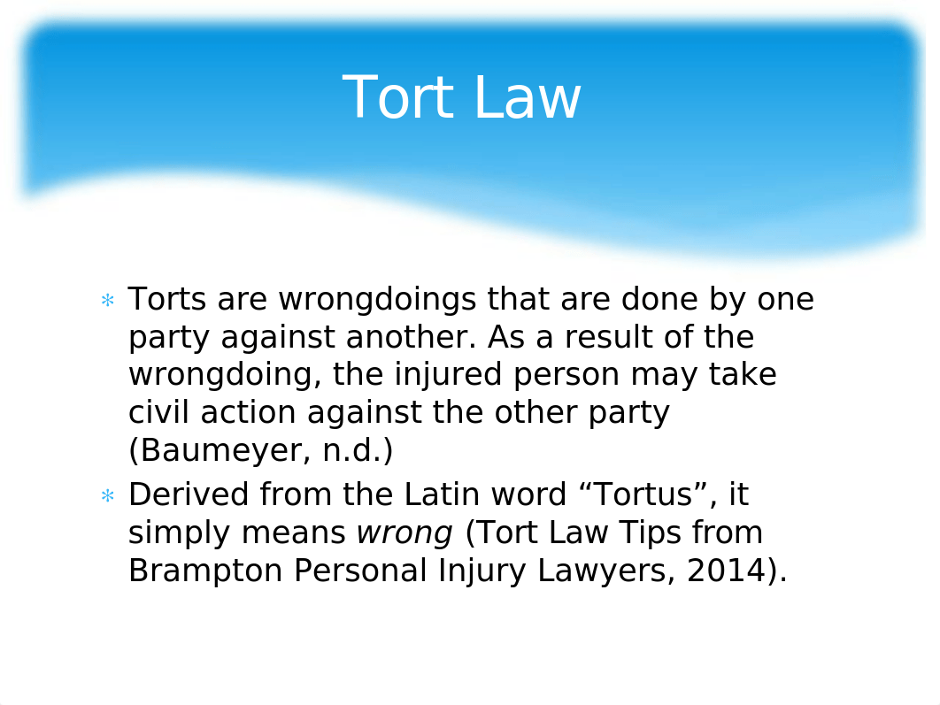 TortLawproject1.pptx_dwyky6ax3kx_page4