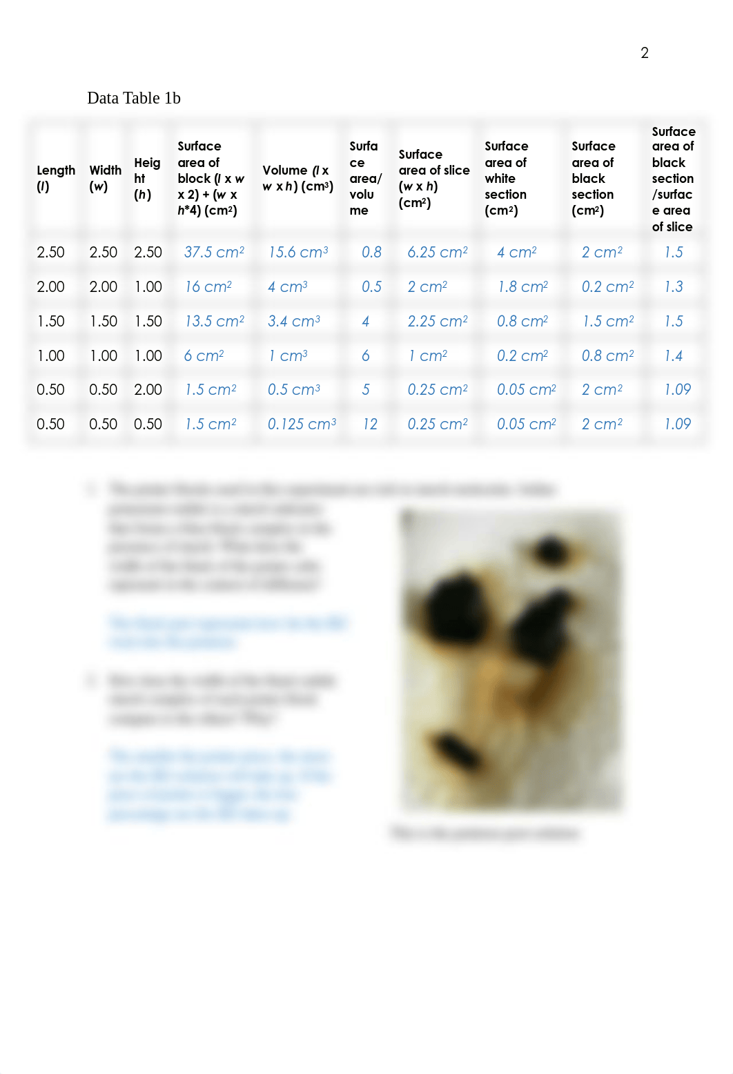 Eukaryotes Prokaryotes and Viruses lab report.pdf_dwylg3pejp4_page3